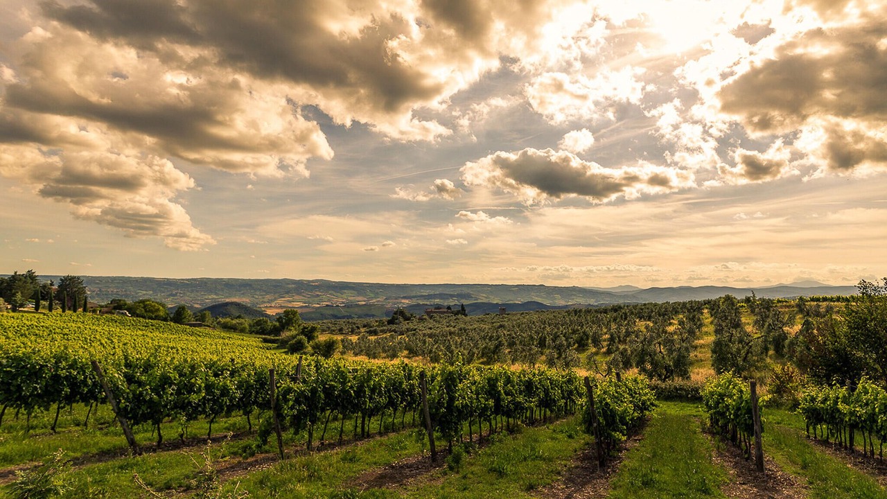Photo of Others in Teverina di Cortona