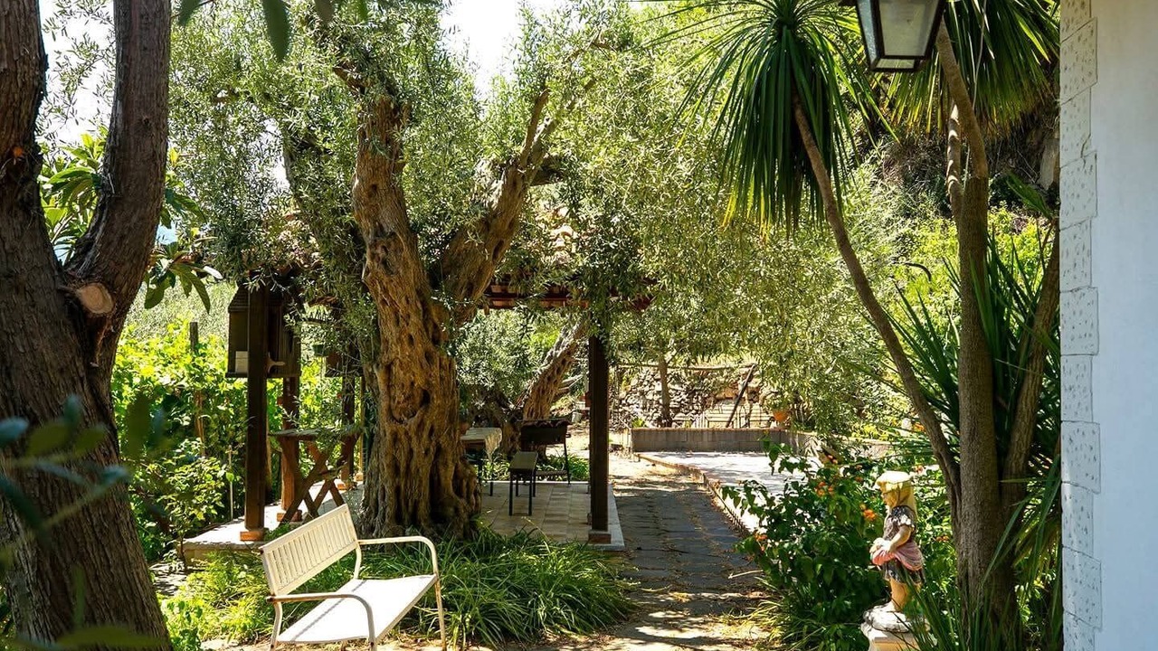 Photo of Patio Balcony in Mitogio
