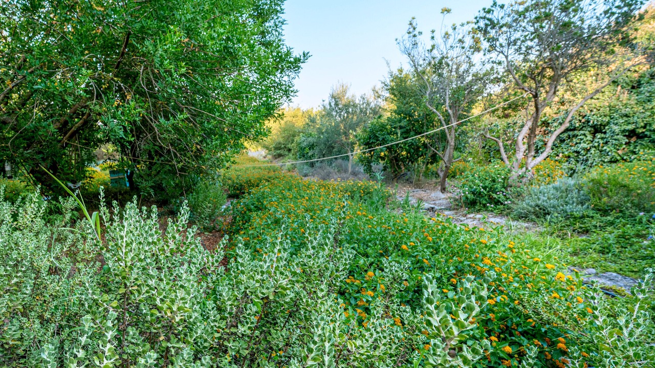 Photo of Outdoor in Castromediano