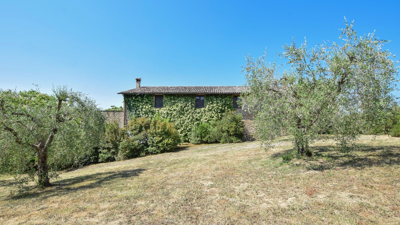 Photo of Others in Teverina di Cortona