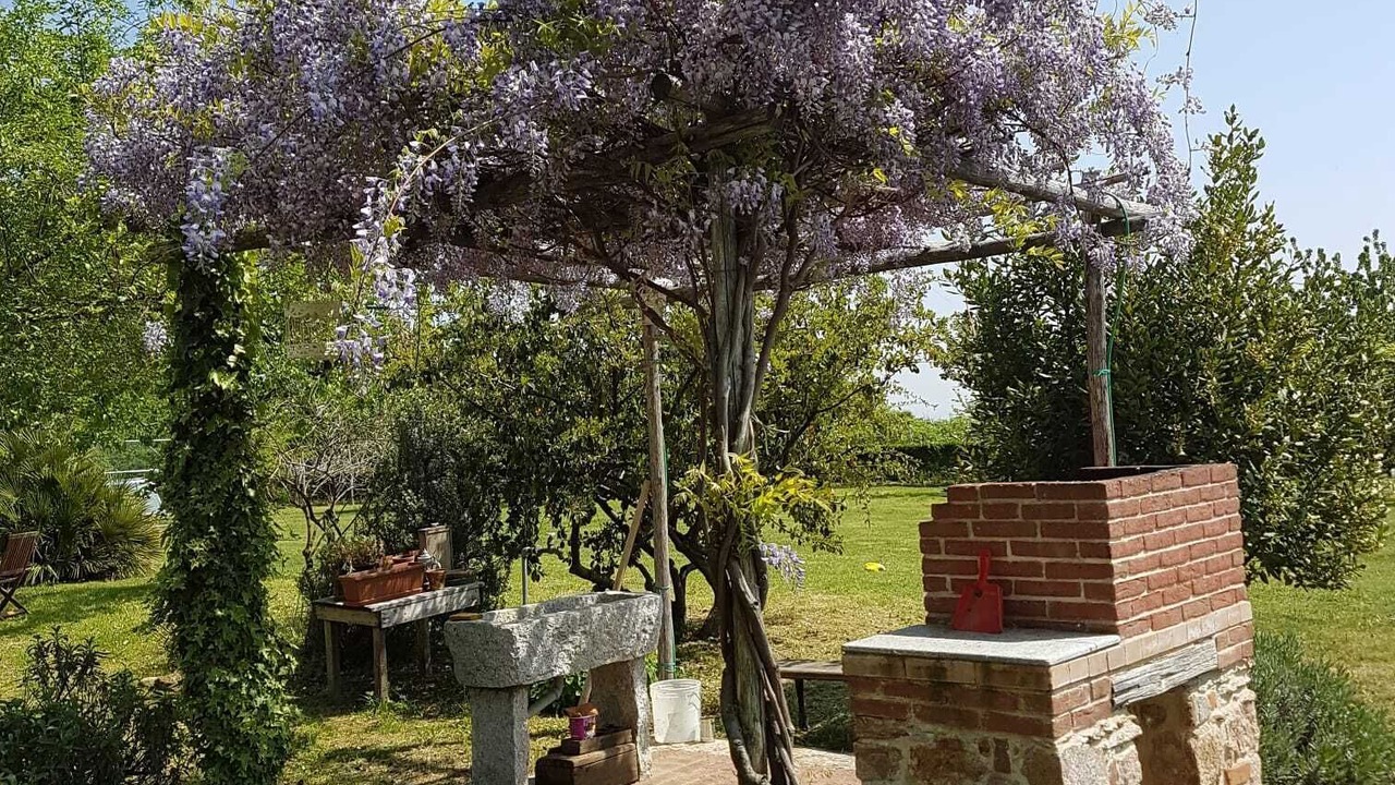Photo of Outdoor in Pertusio
