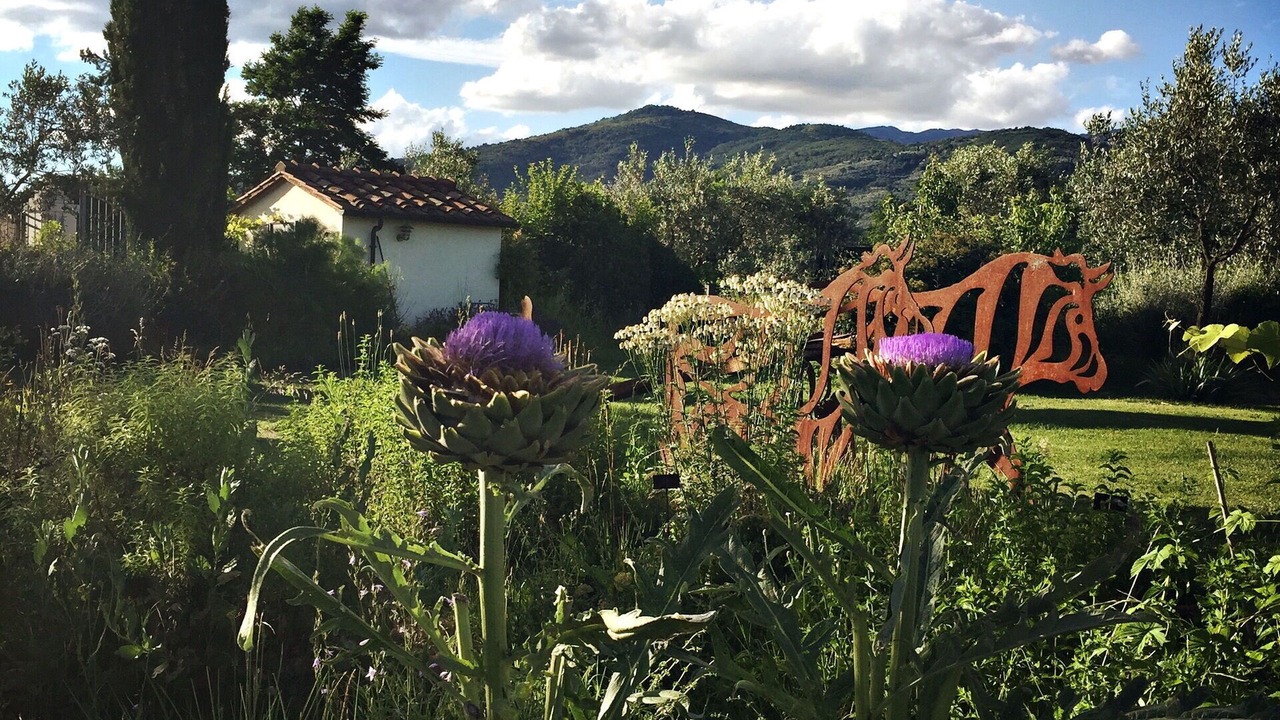 Photo of Outdoor in Terranuova Bracciolini