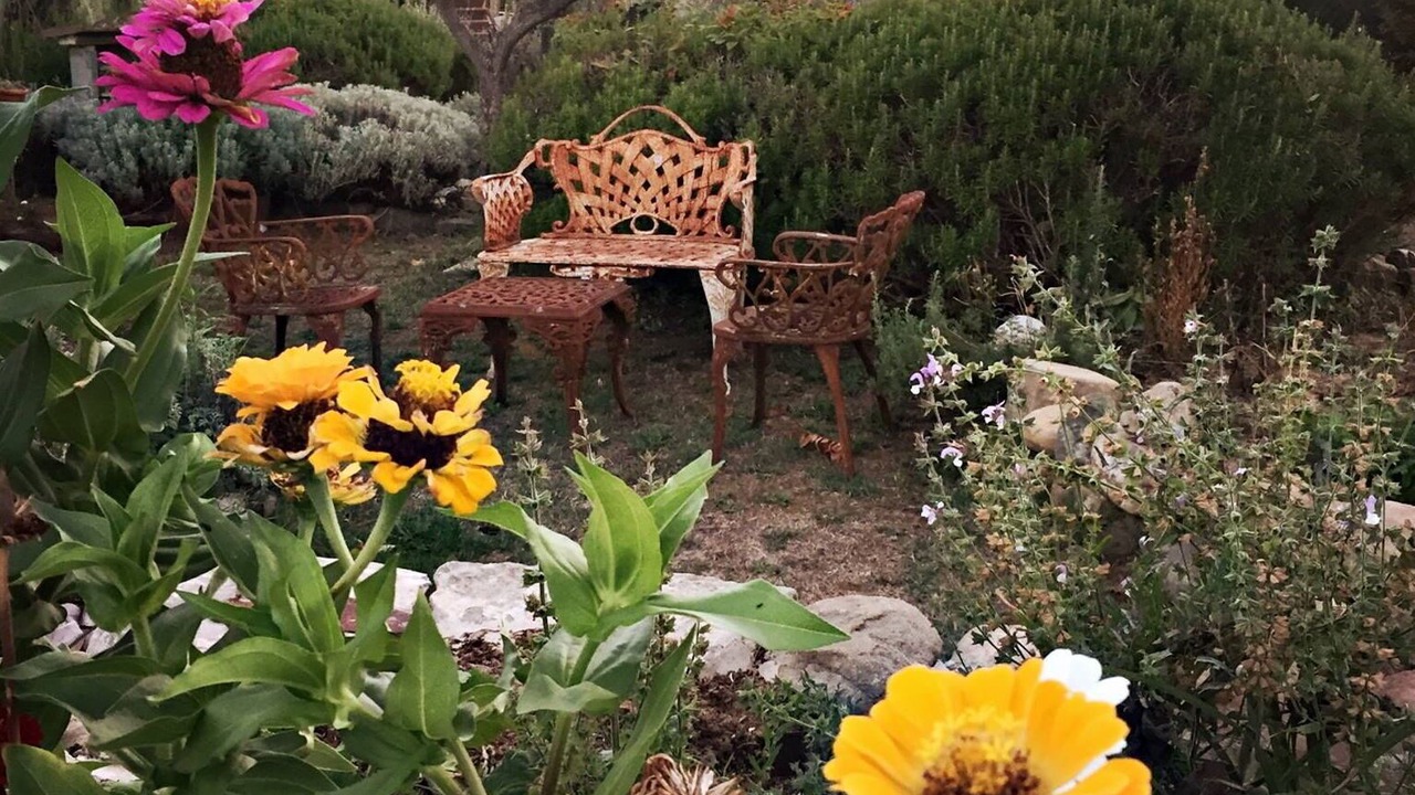 Photo of Outdoor in Terranuova Bracciolini