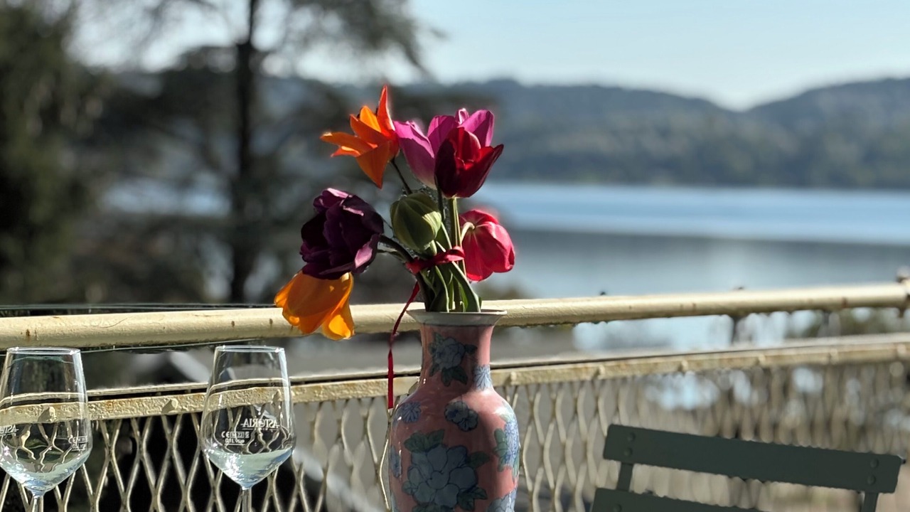 Photo of Outdoor in Viverone