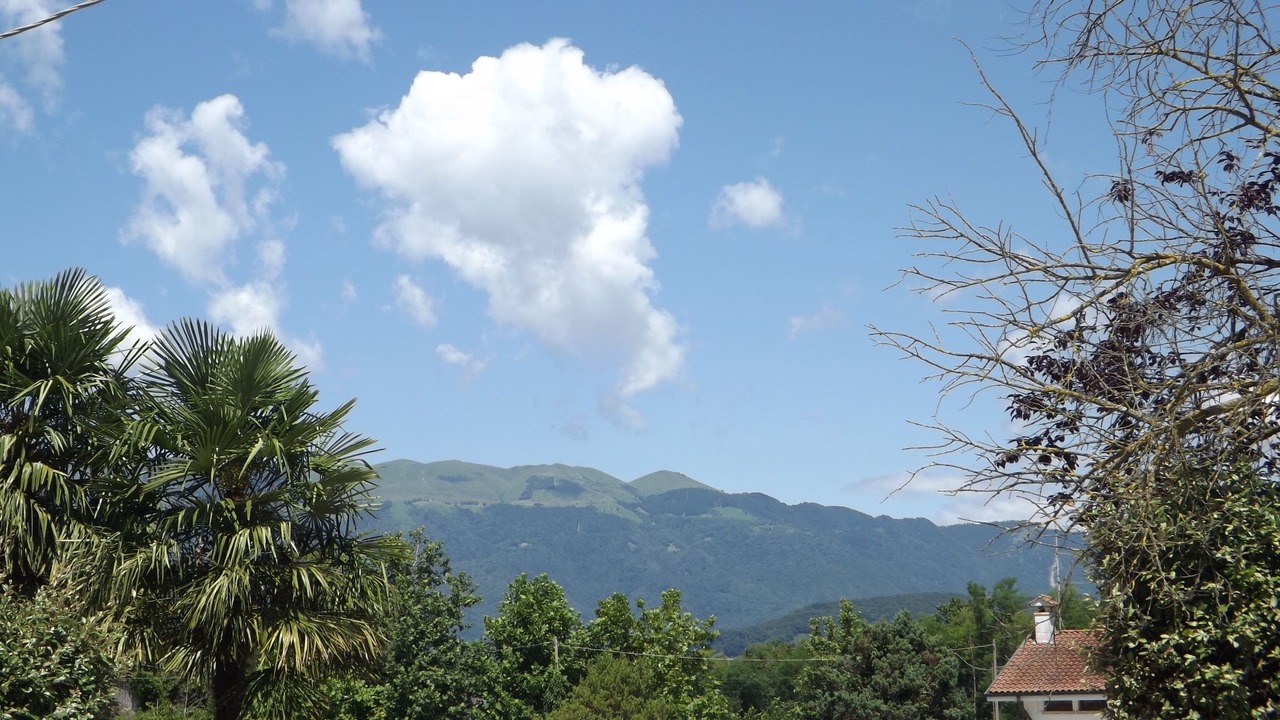 Photo of Others in Moriago della Battaglia