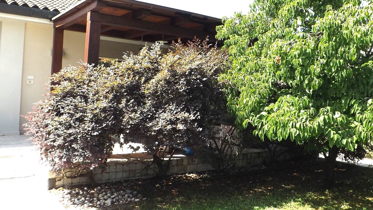 Photo of Outdoor in Moriago della Battaglia