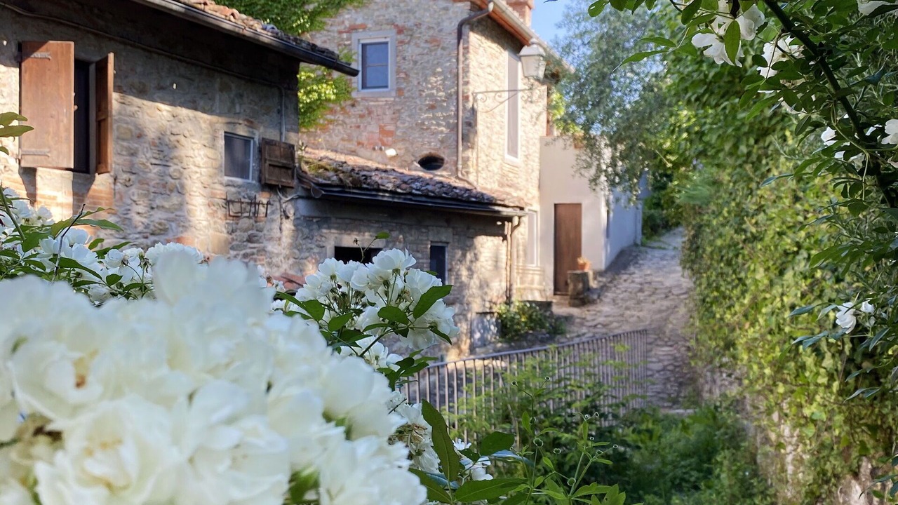 Photo of Others in Terranuova Bracciolini