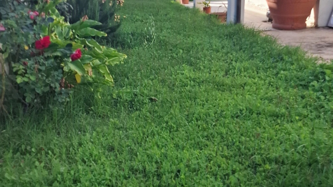 Photo of Outdoor in Dolianova
