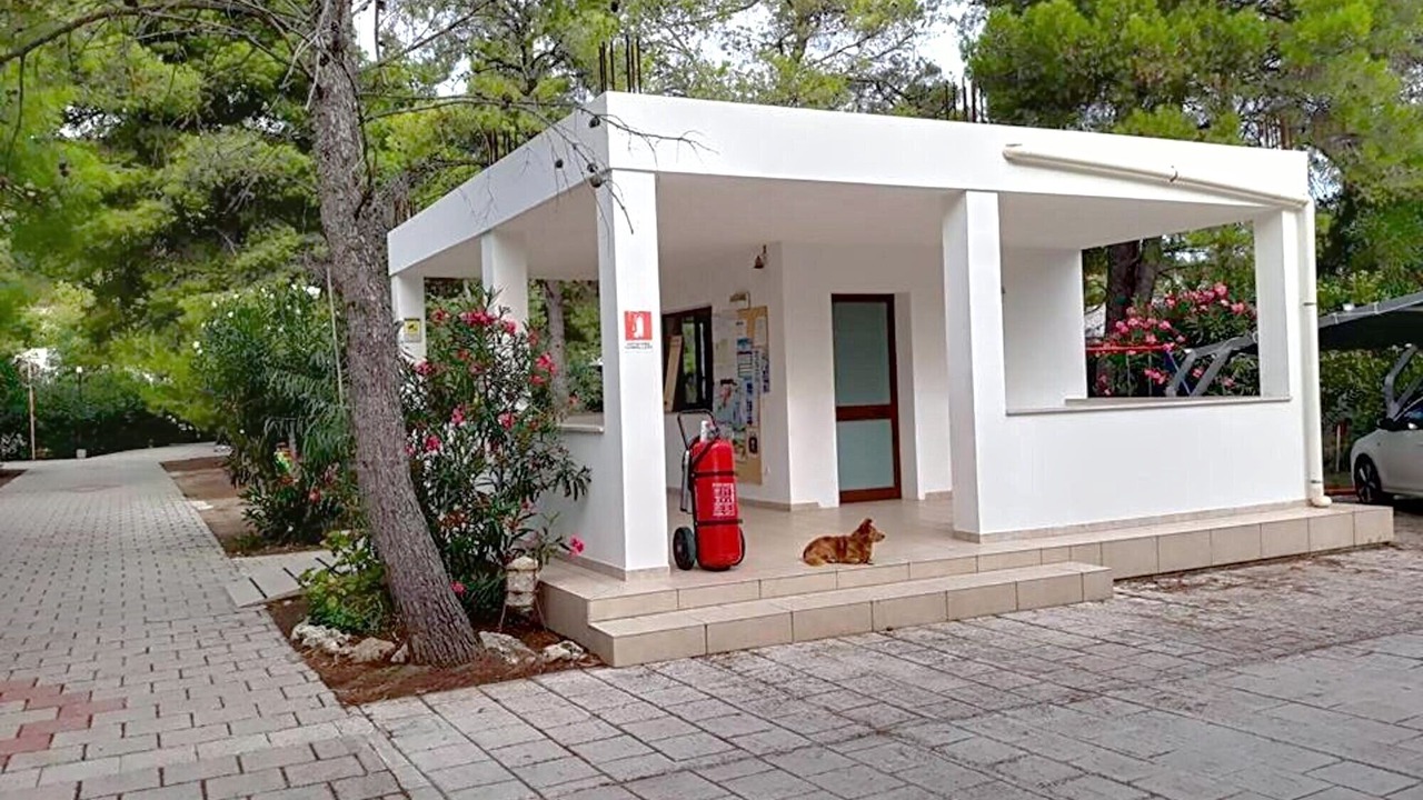 Photo of Outdoor in Scialara