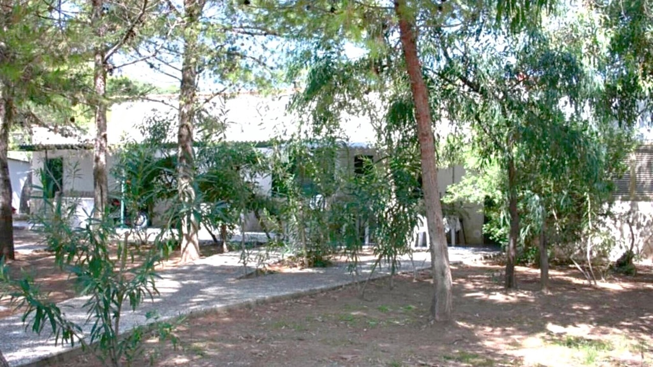 Photo of Outdoor in Scialara