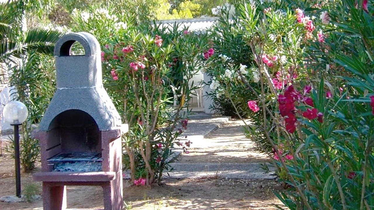 Photo of Outdoor in Scialara