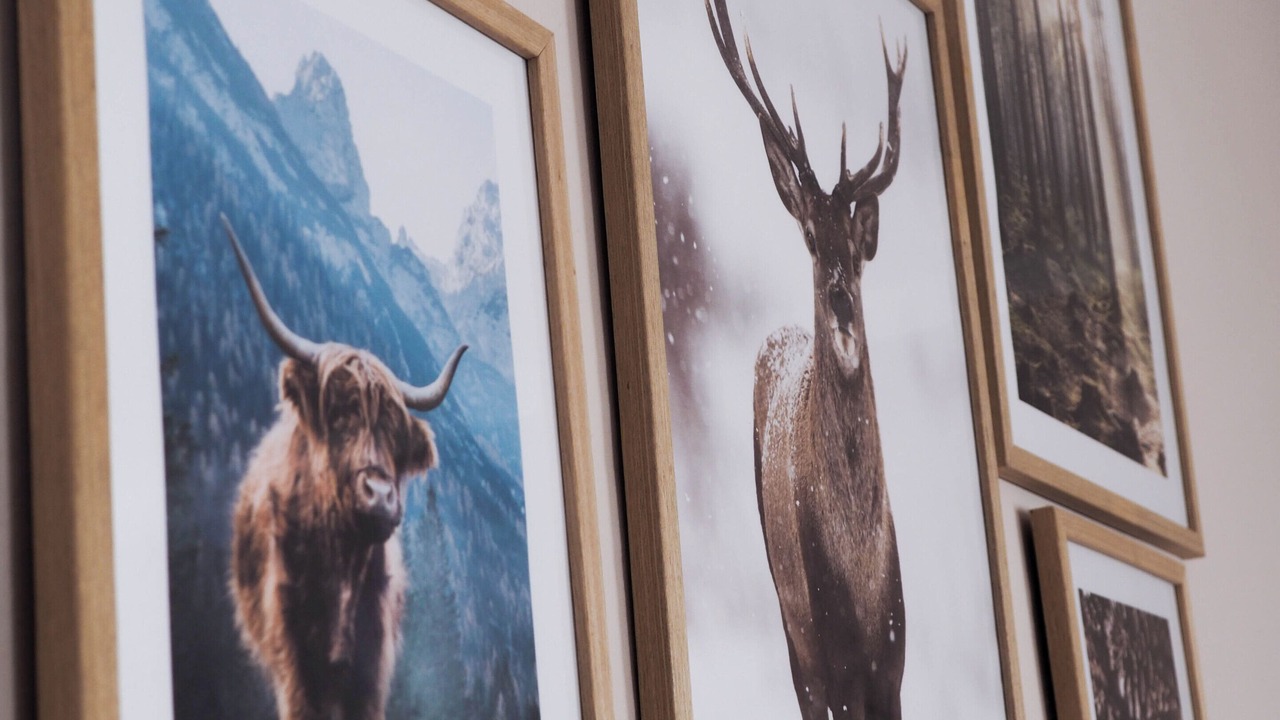 Photo of Others in Auronzo di Cadore