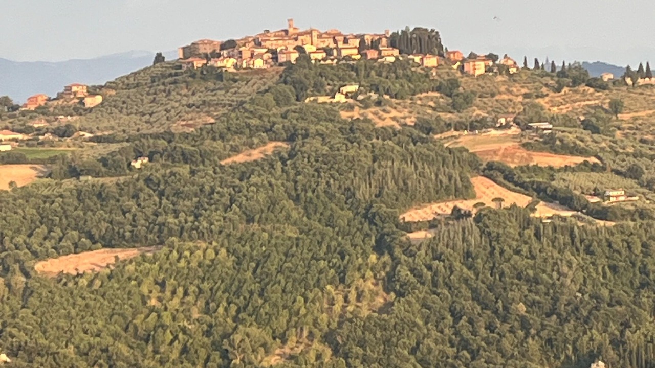 Photo of Others in Monte Castello di Vibio