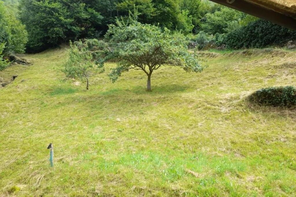 Photo of Outdoor in Beura-Cardezza