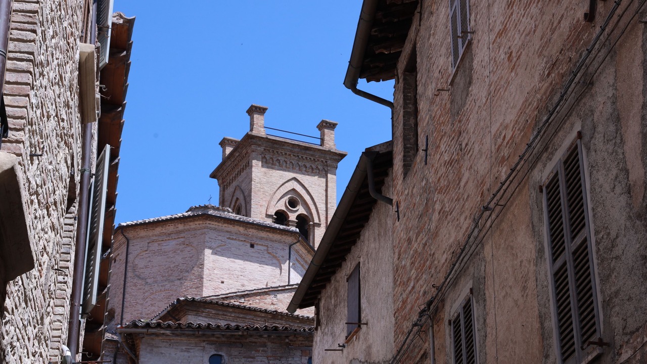 Photo of Others in Pergola
