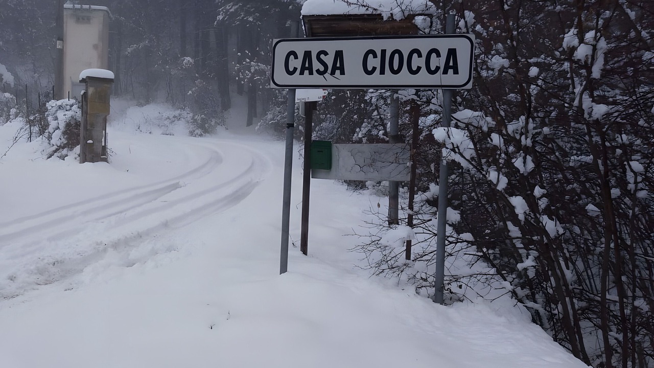 Photo of Others in Menconico