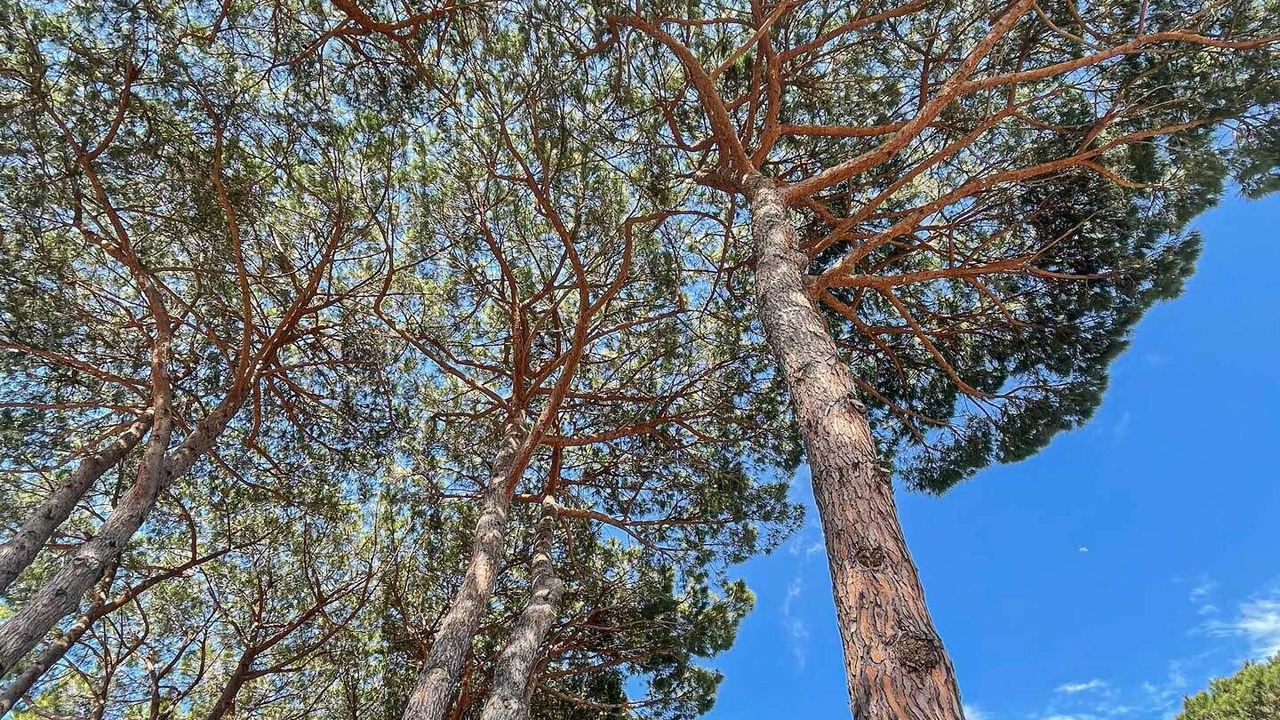Photo of Outdoor in Punta Ala