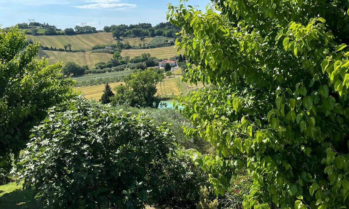 Photo of Outdoor in Bettolelle