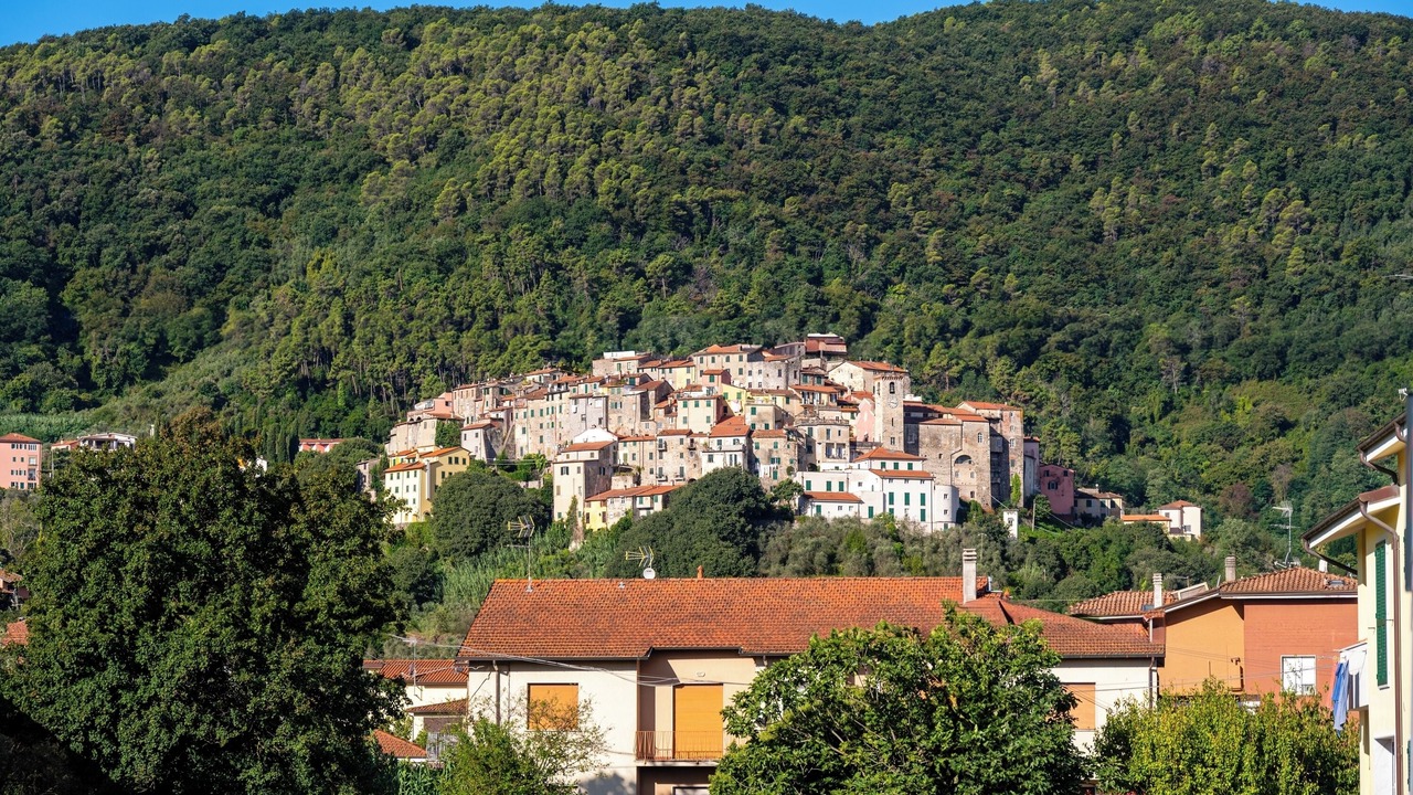 Photo of Others in Montemarcello