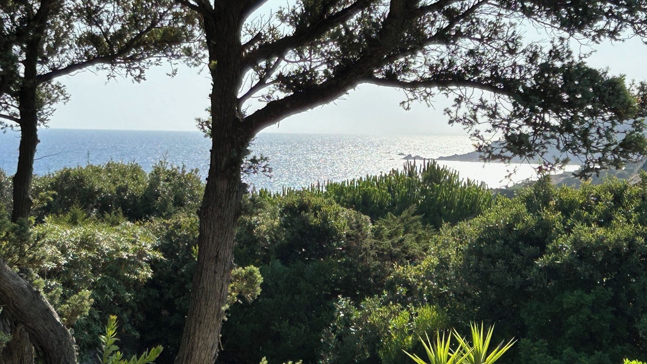 Photo of Others in Santa Reparata