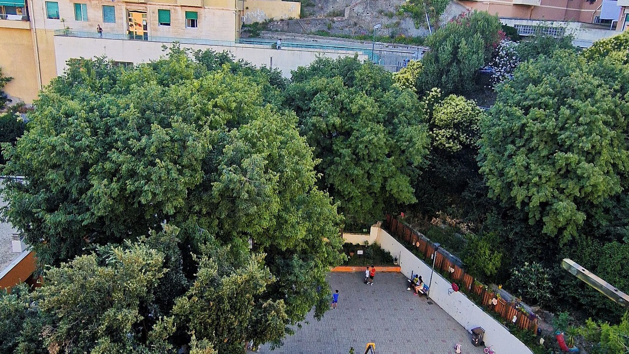 Photo of Outdoor in San Teodoro