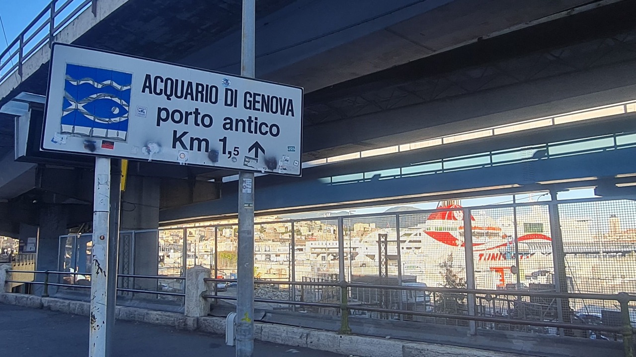 Photo of Others in San Teodoro