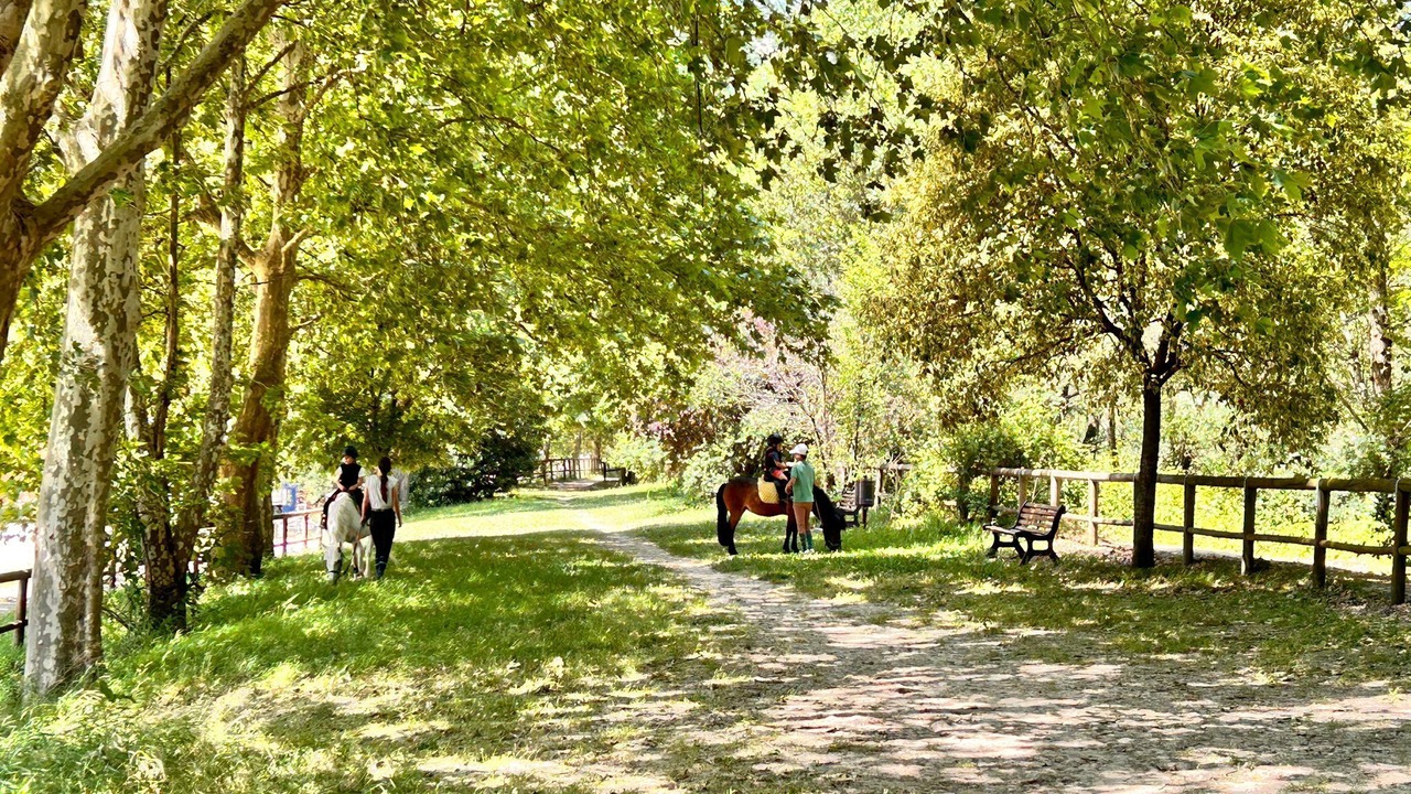 Photo of Others in Atina