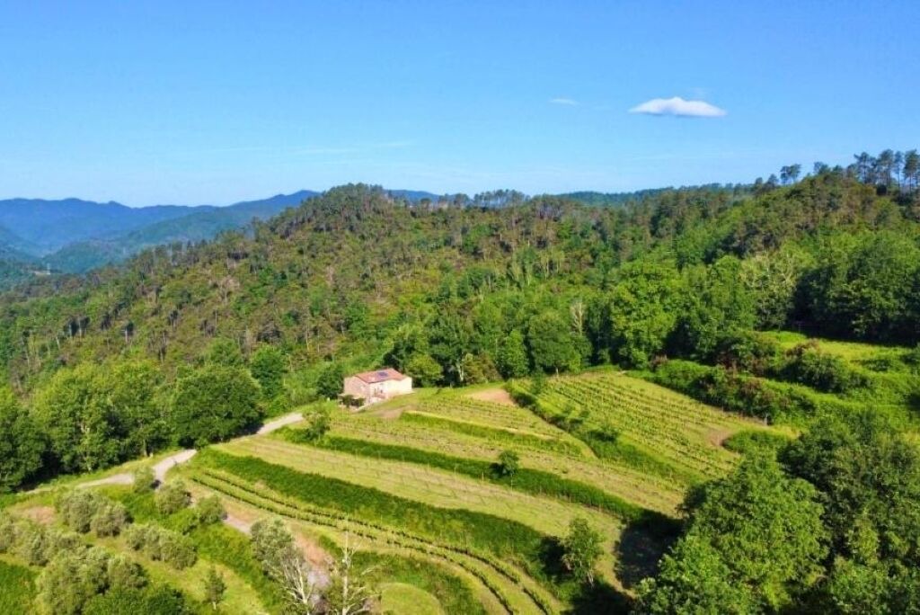 Photo of Outdoor in Brugnato