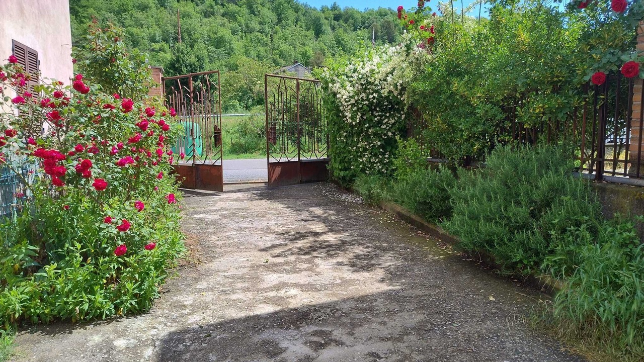 Photo of Outdoor in Prasco
