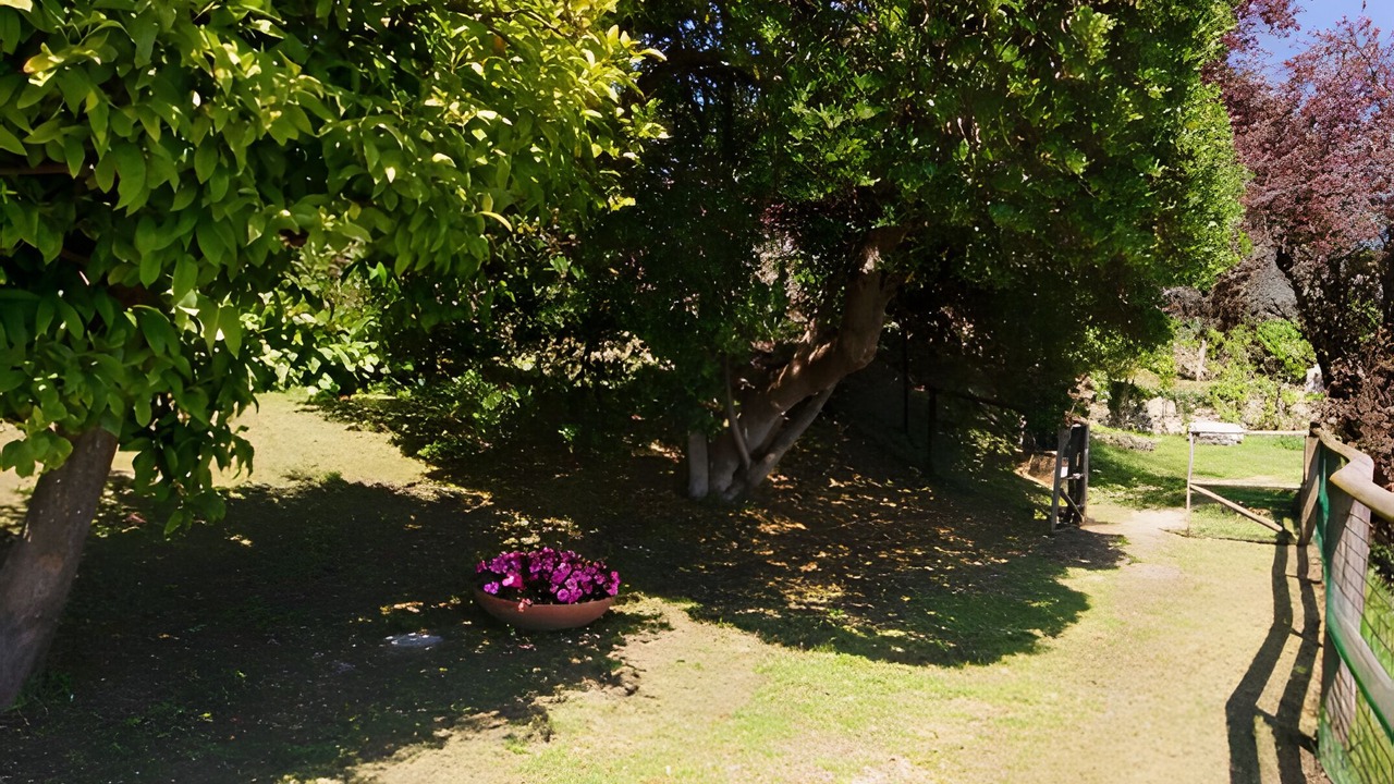 Photo of Outdoor in Ruta