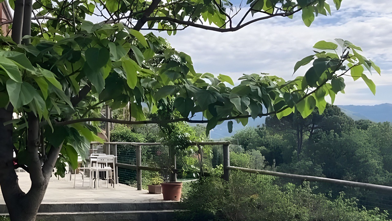 Photo of Patio Balcony in Ruta