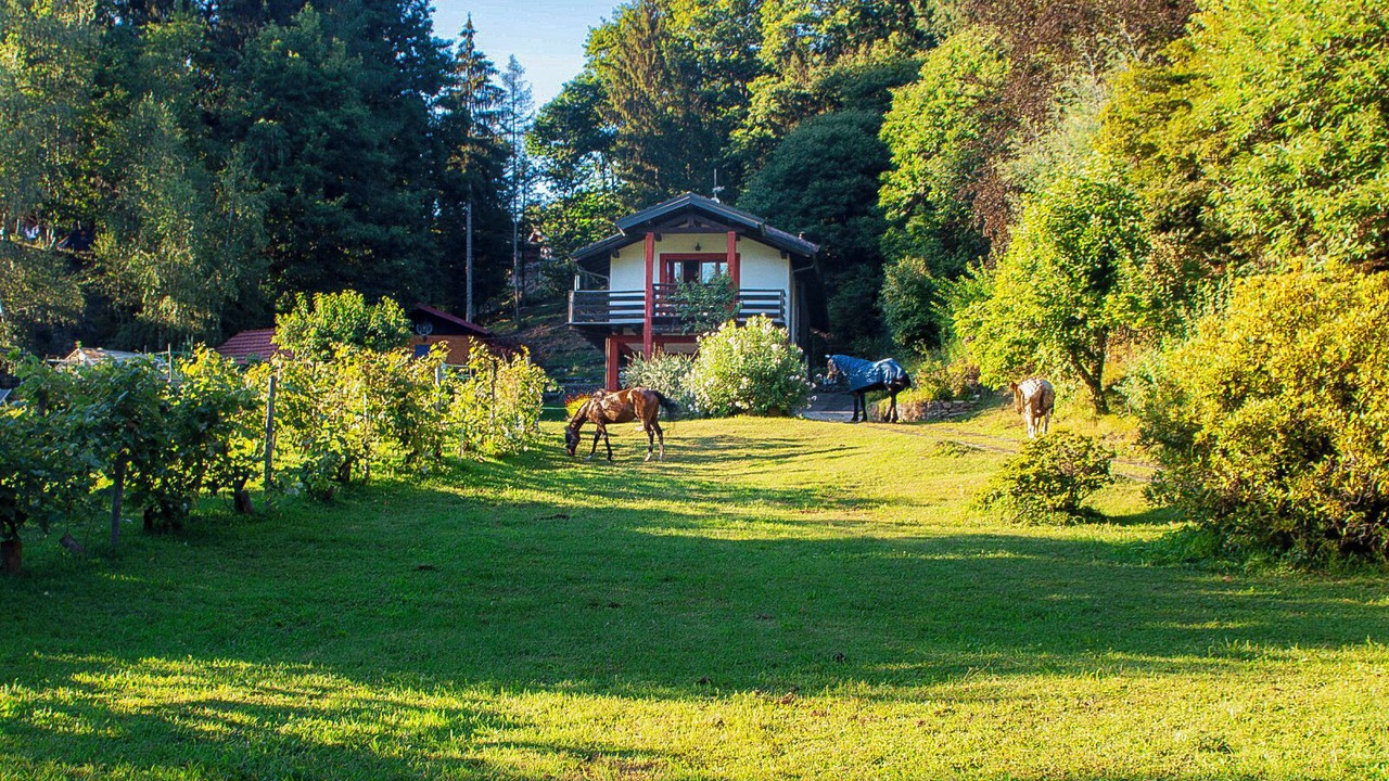 Photo of Outdoor in Montegrino Valtravaglia