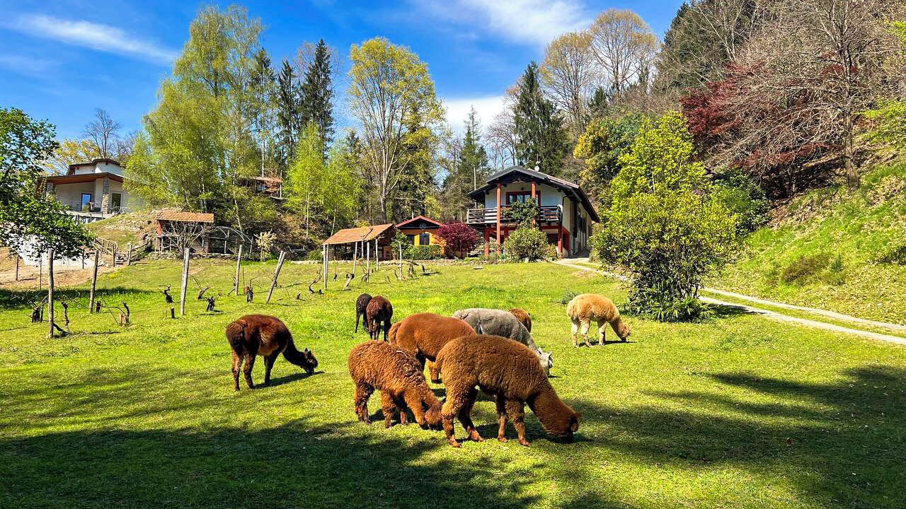 Photo of Outdoor in Montegrino Valtravaglia