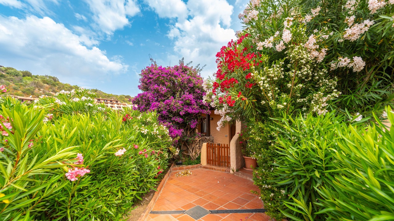 Photo of Outdoor in Porto Cervo