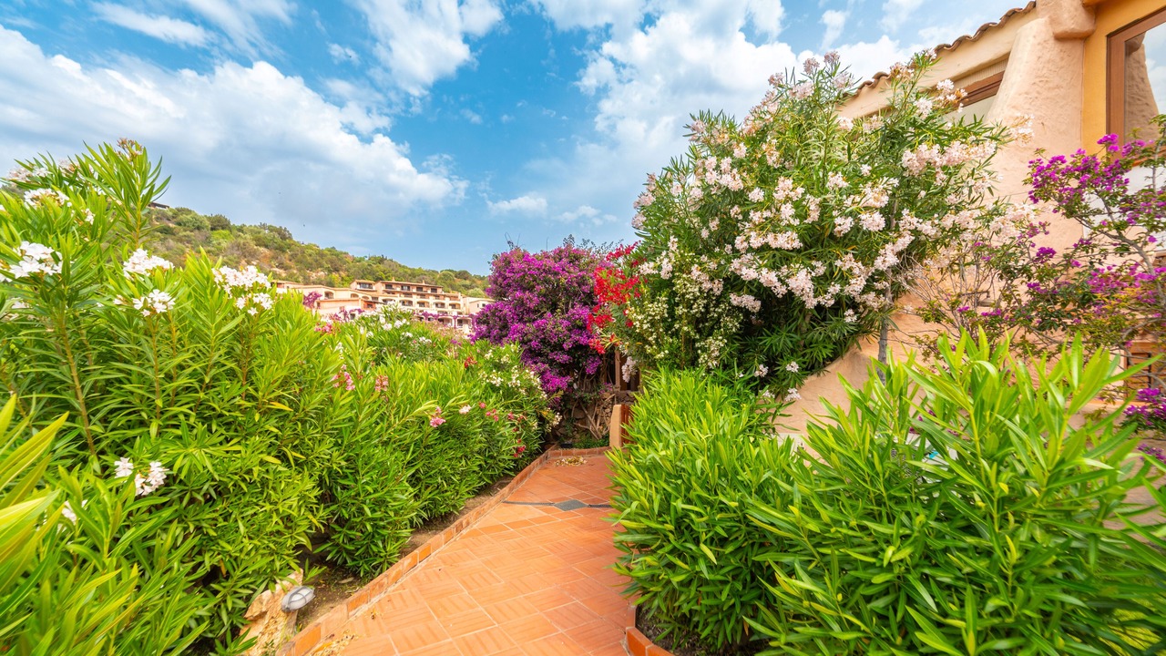 Photo of Outdoor in Porto Cervo