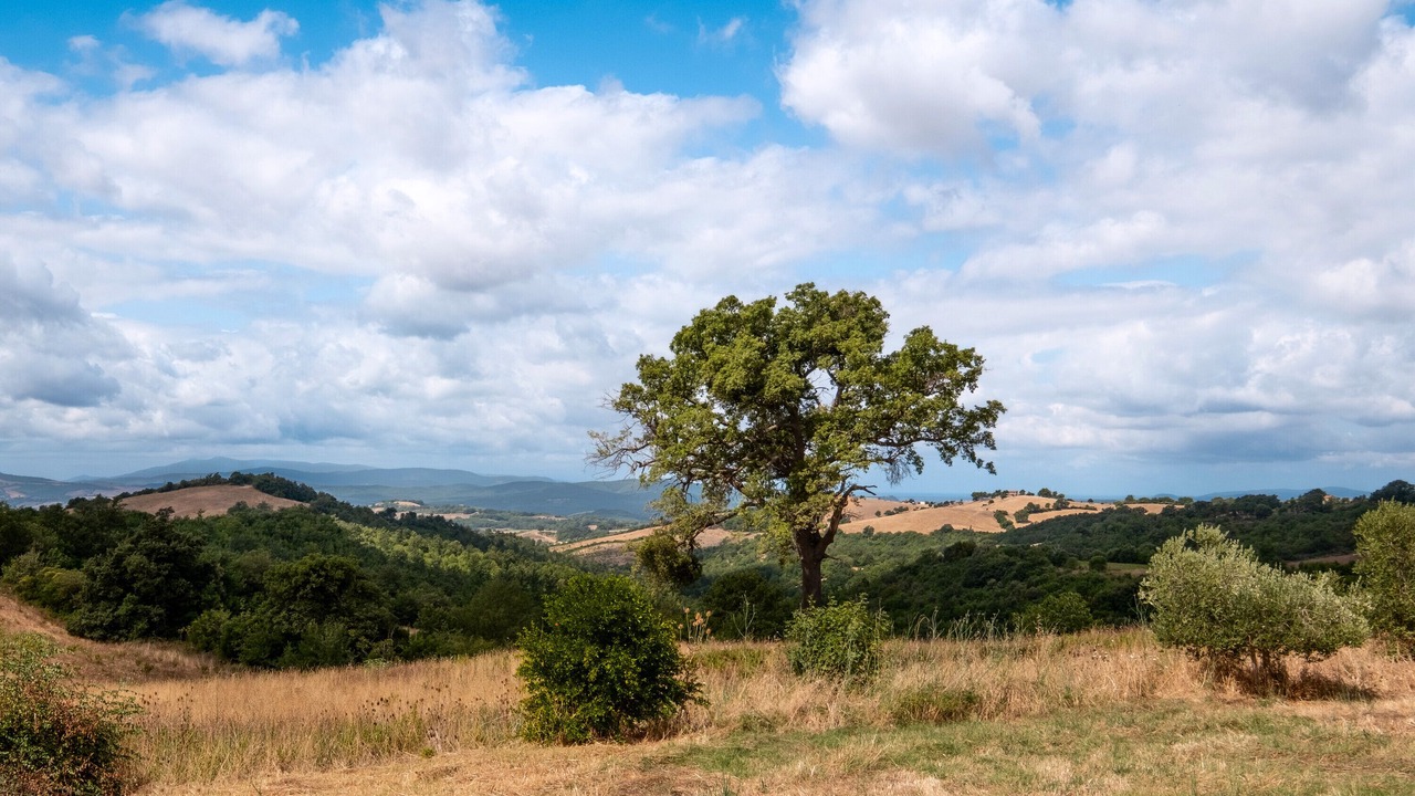 Photo of Others in Manciano