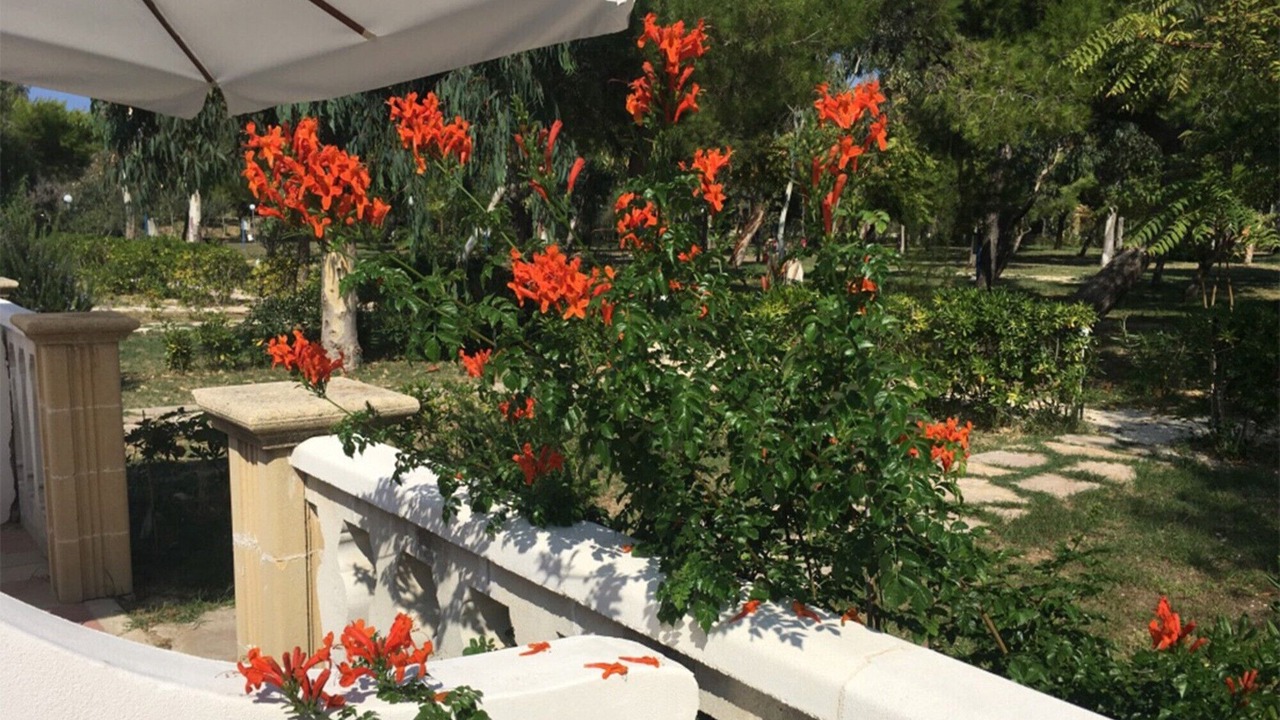 Photo of Outdoor in Chiesiola