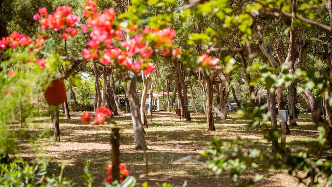 Photo of Outdoor in Chiesiola