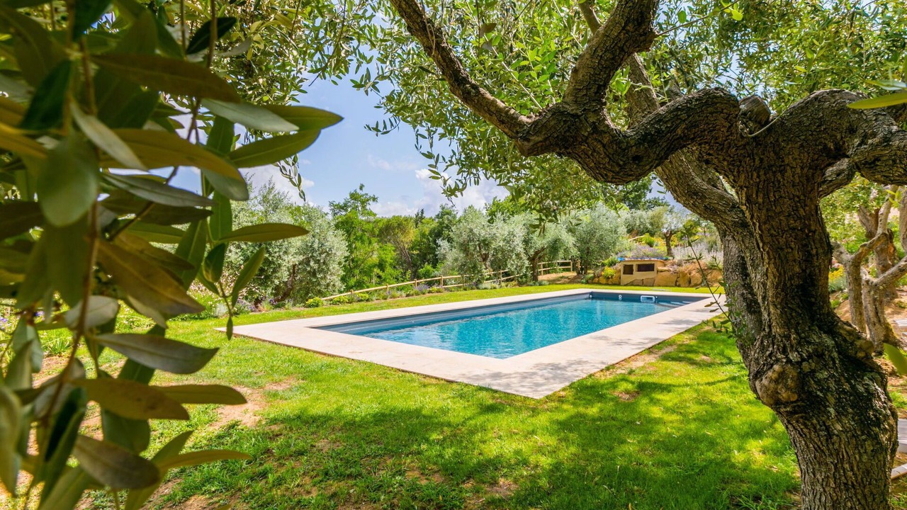 Photo of Outdoor in Montisi