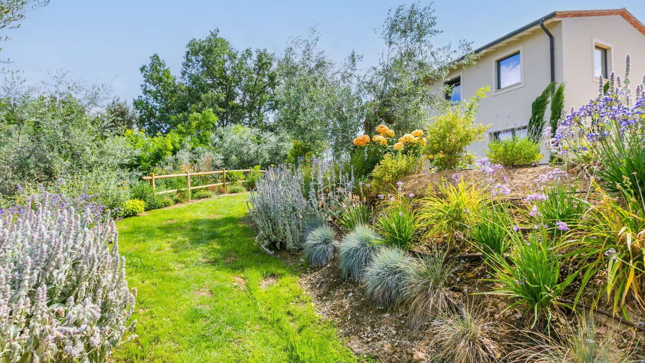 Photo of Outdoor in Montisi