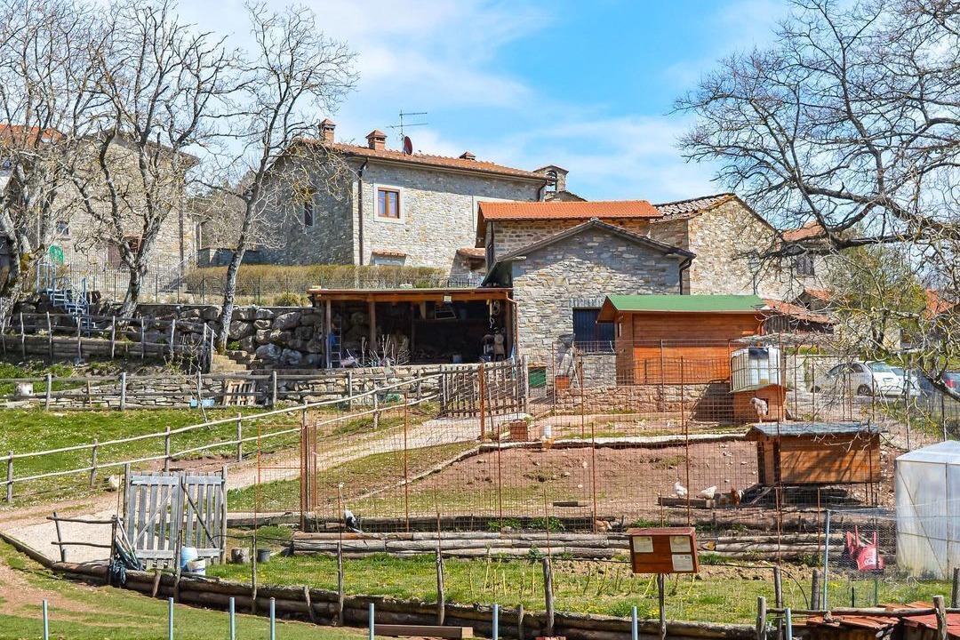 Photo of Others in Chiusi della Verna