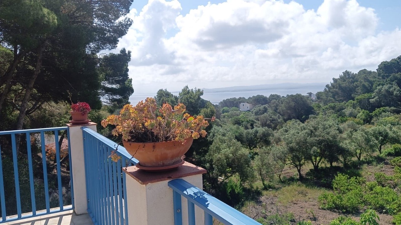 Photo of Outdoor in Carloforte