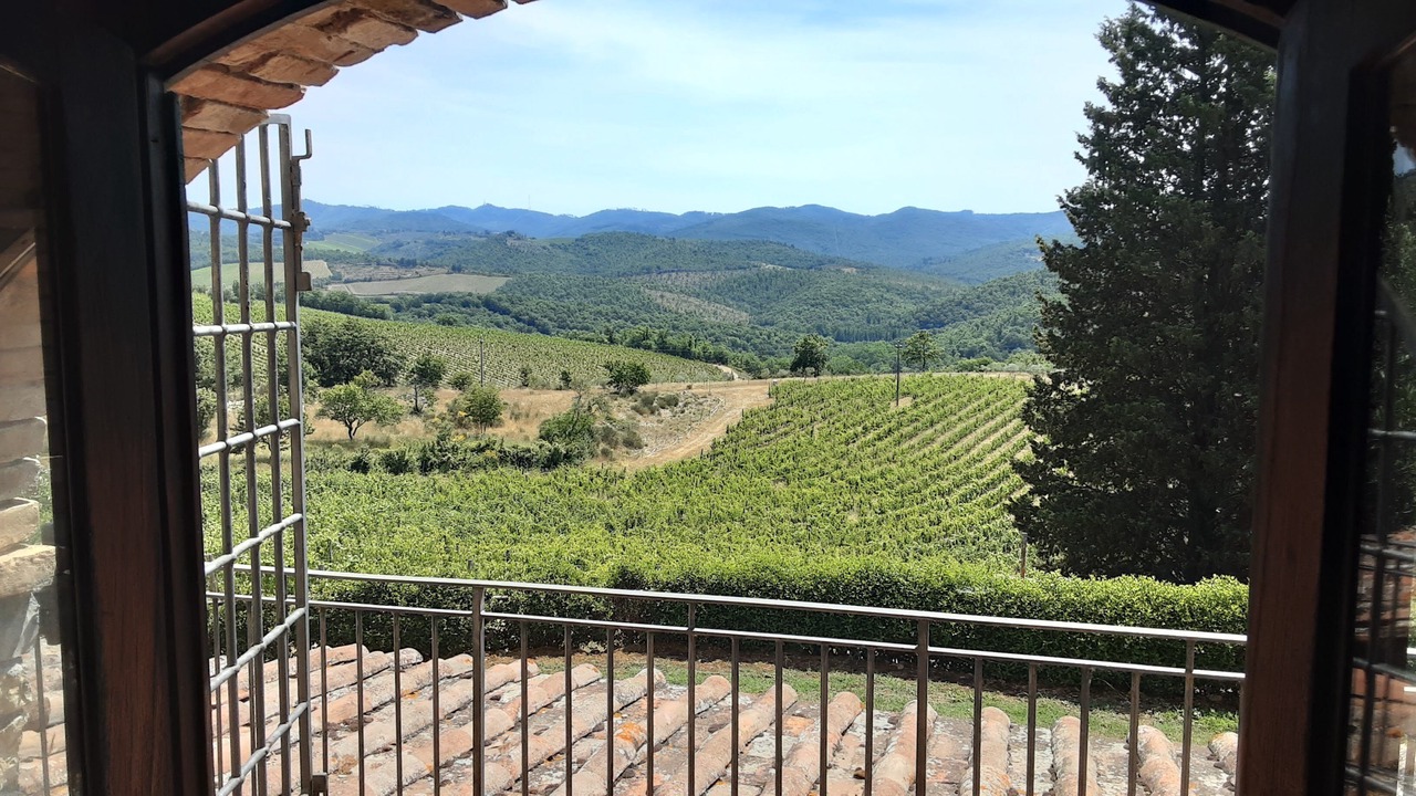 Photo of Others in Gaiole in Chianti