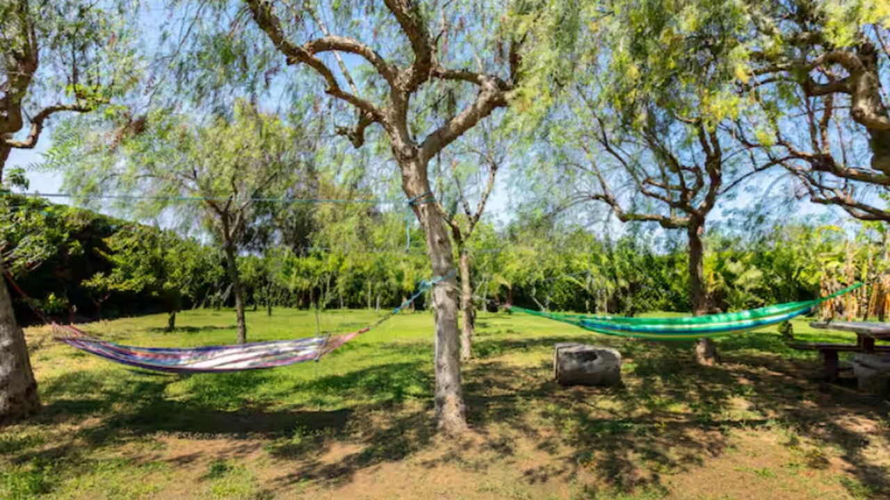Photo of Outdoor in Brindisi