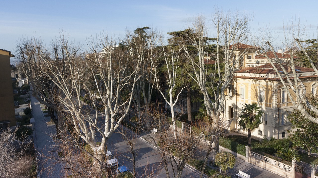 Photo of Others in Foligno