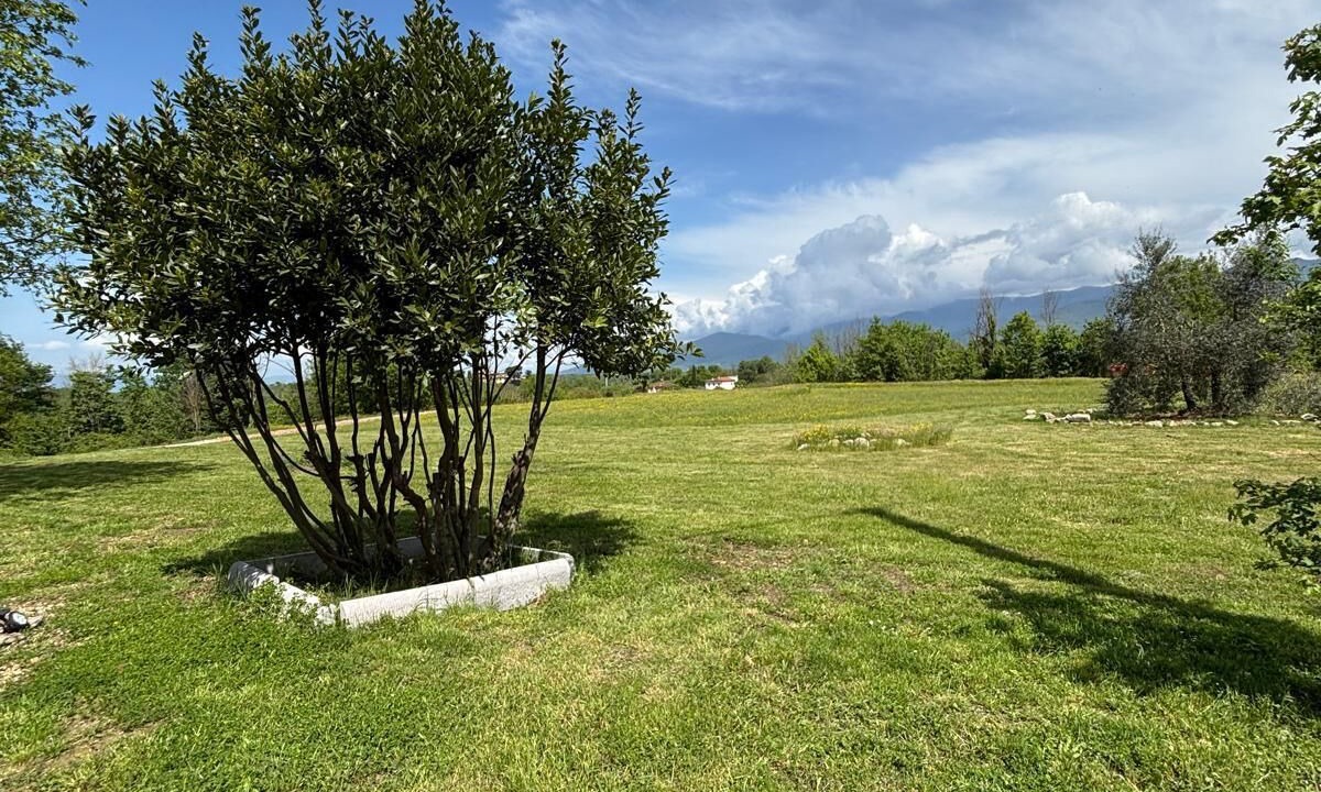 Photo of Outdoor in Terranuova Bracciolini