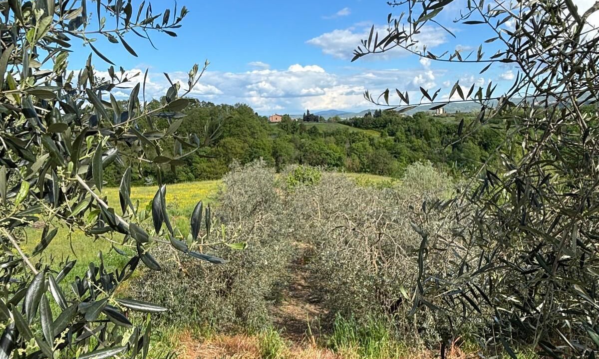 Photo of Others in Terranuova Bracciolini