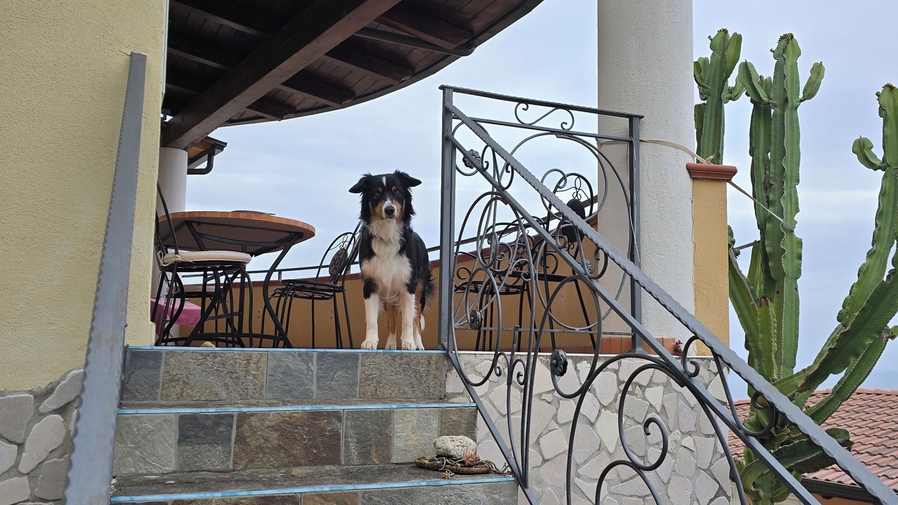 Photo of Outdoor in Praia a Mare