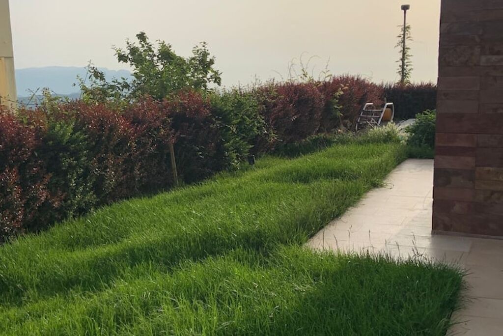 Photo of Outdoor in Lanusei