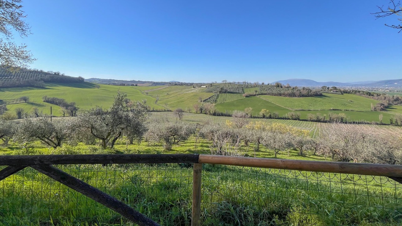Photo of Others in San Brizio